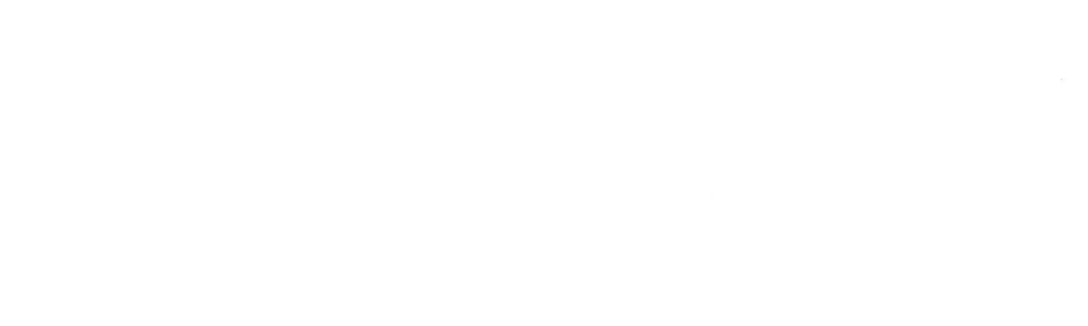 vFAS logo wit | 2xCeed sales, marketing & IT